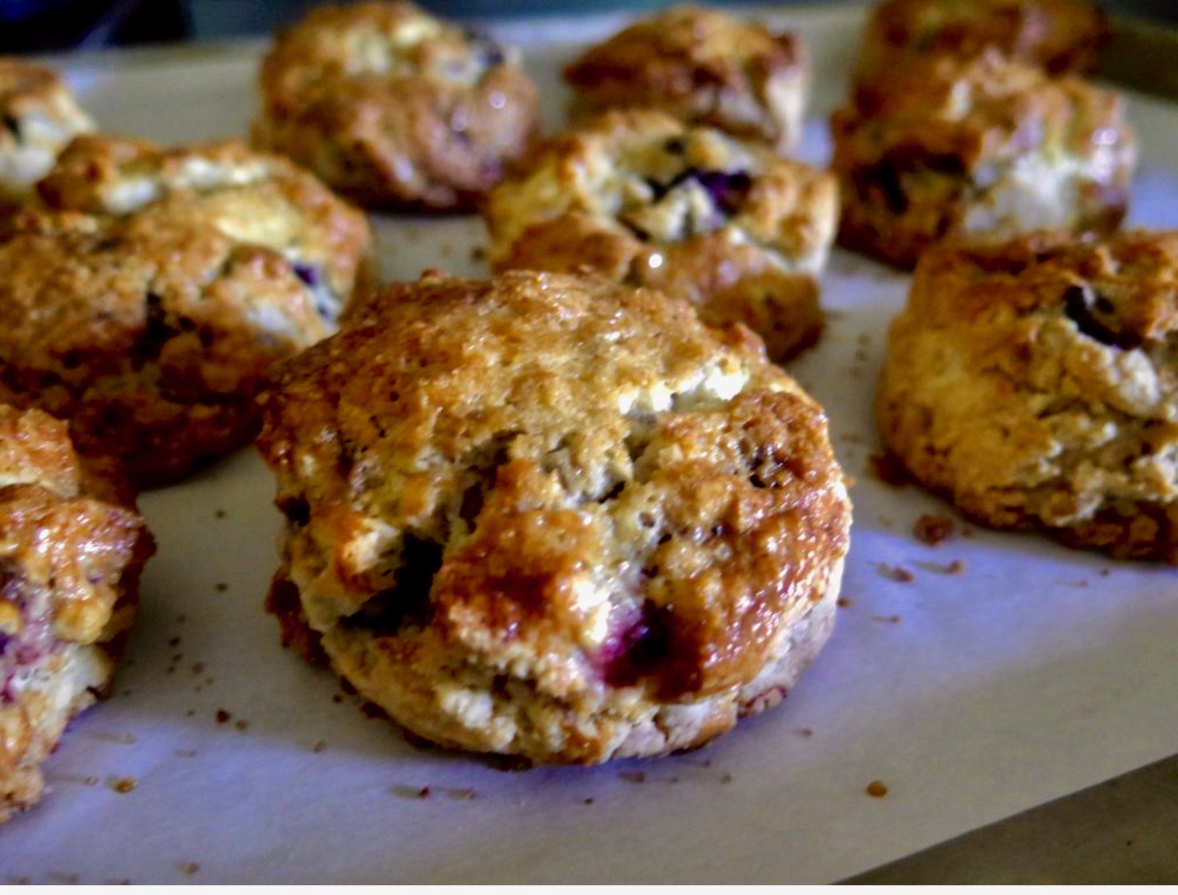 Berry Scones | Jessie Sheehan Bakes
