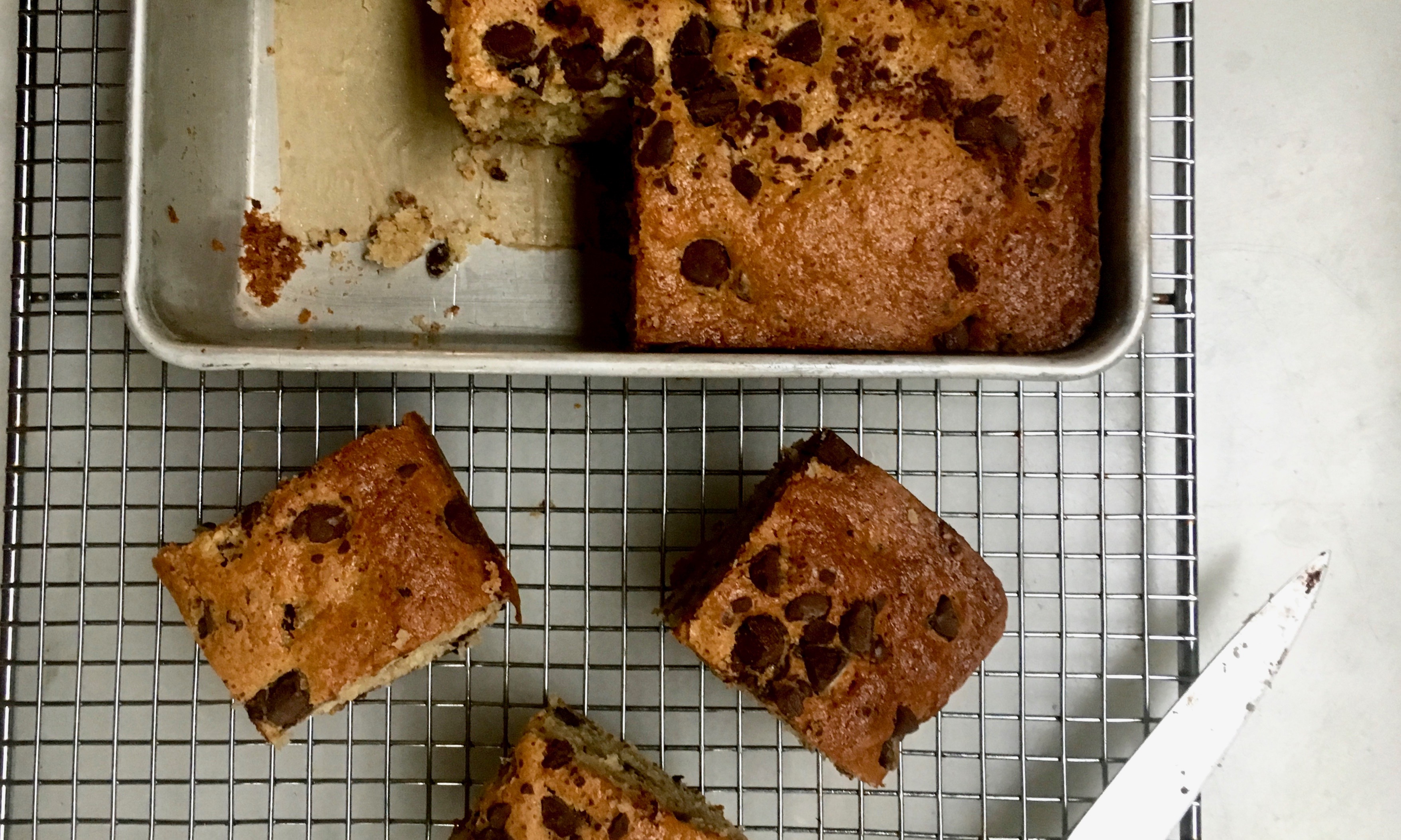 Chocolate Chip Snack Cake Recipe | Jessie Sheehan Bakes