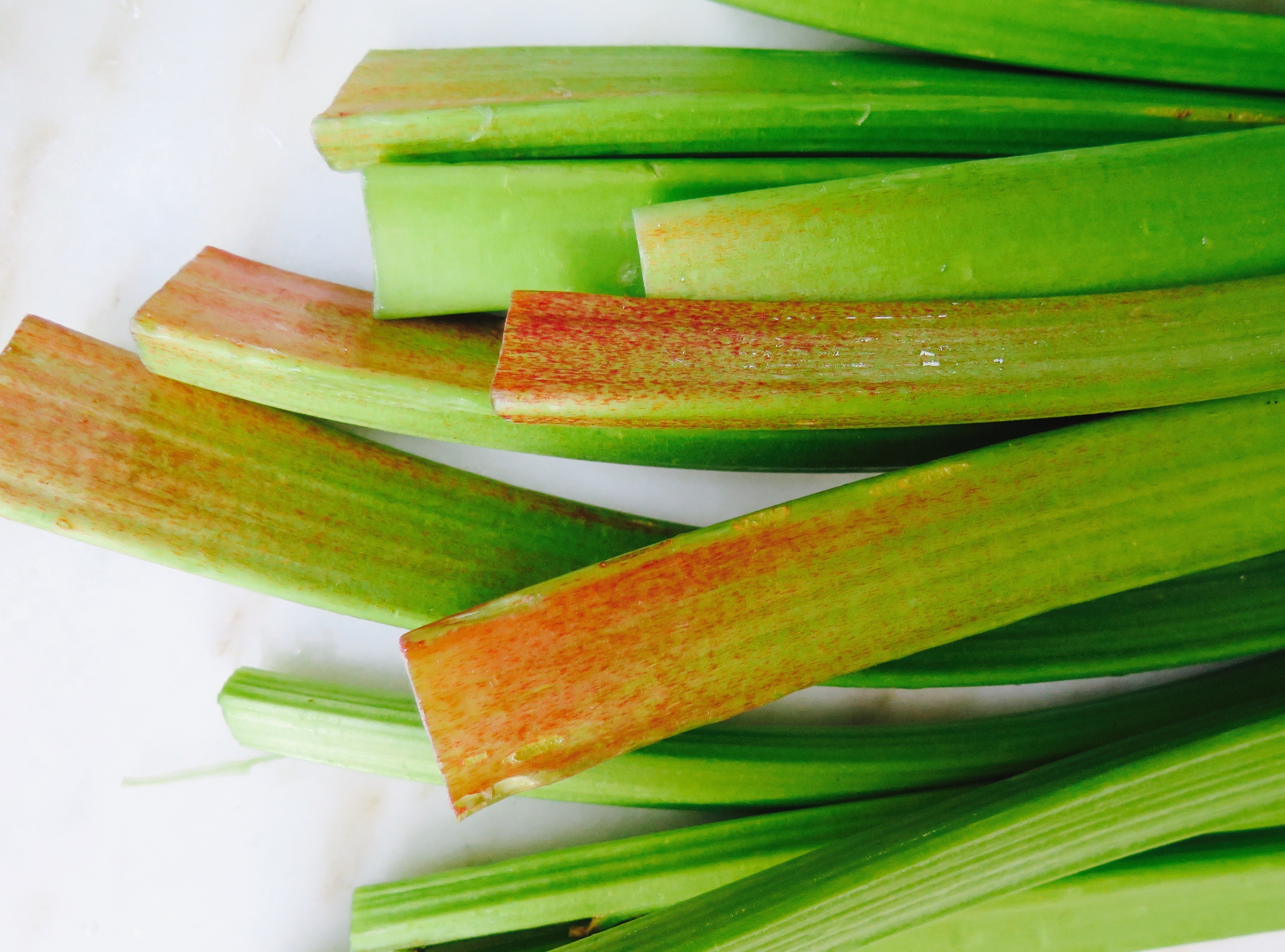 freshly-picked rhubarb freshly-picked rhubarb