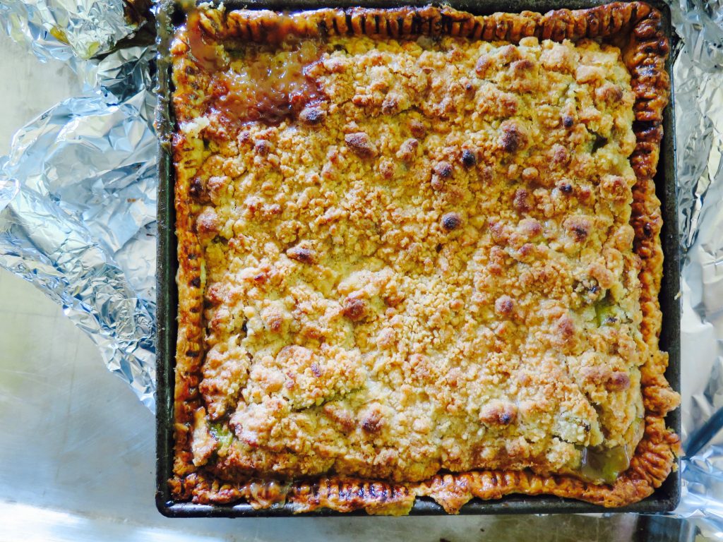 Deep Dish Rhubarb Pie Recipe | Spring Desserts | Jessie Sheehan Bakes