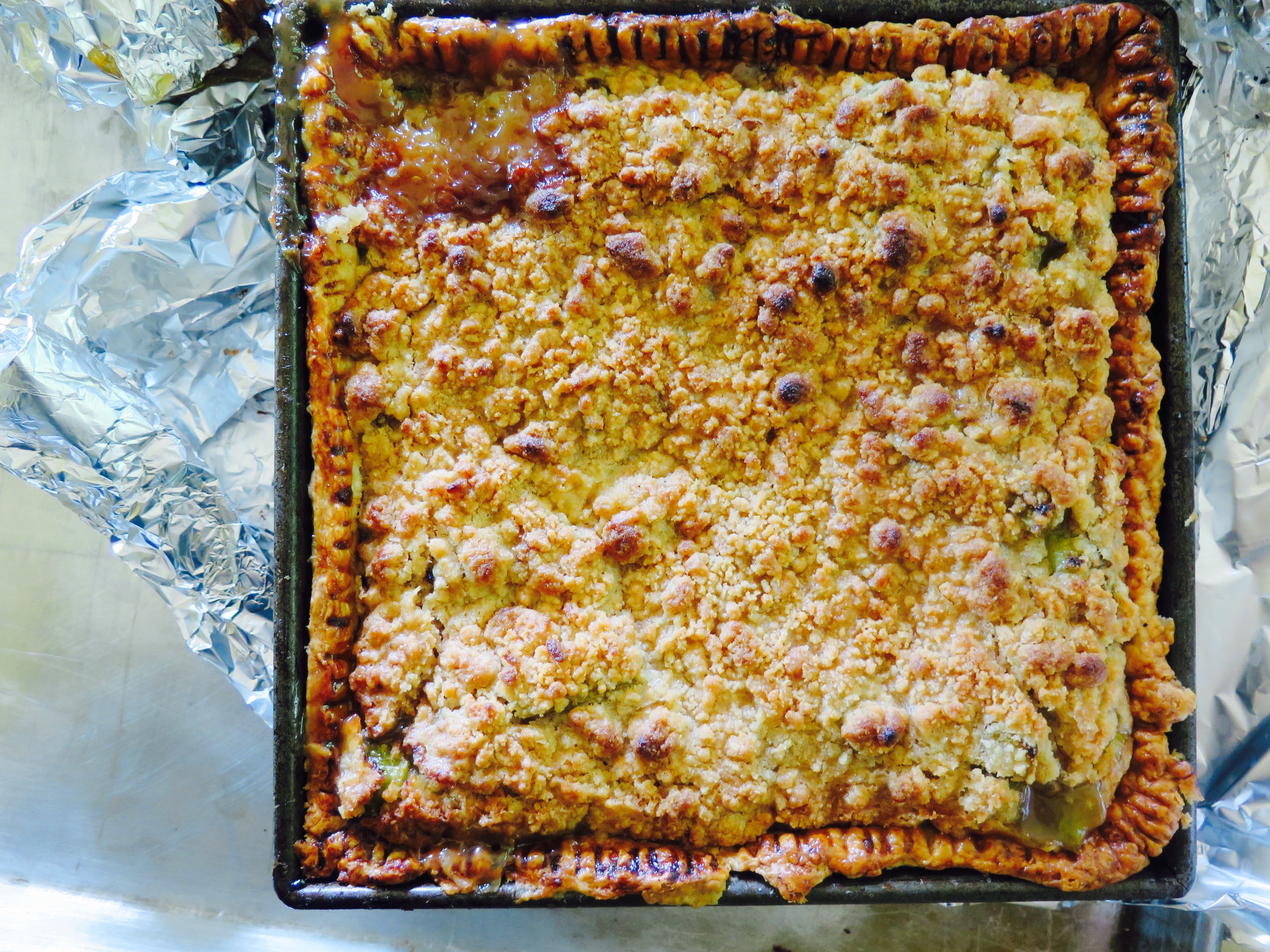 square rhubarb yumminess square rhubarb yumminess