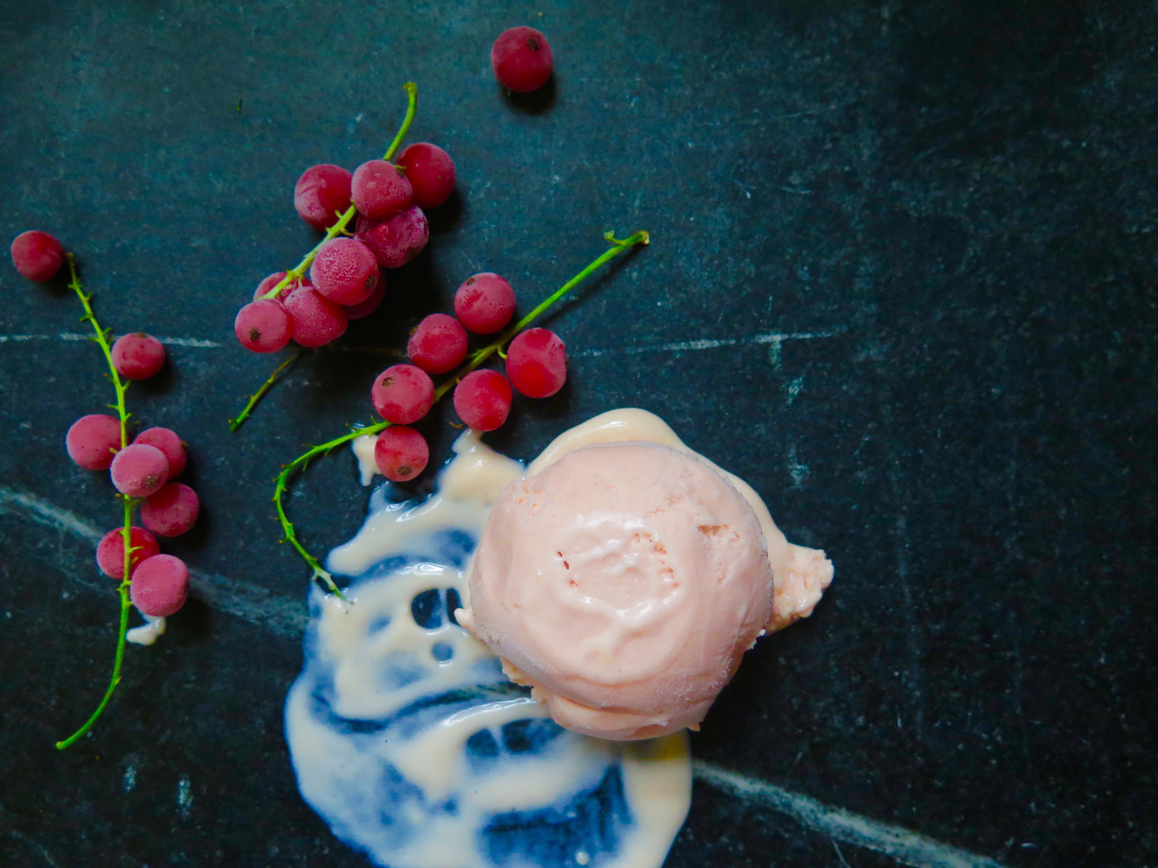 Red Currant Ice Cream Recipe | Jessie Sheehan Bakes