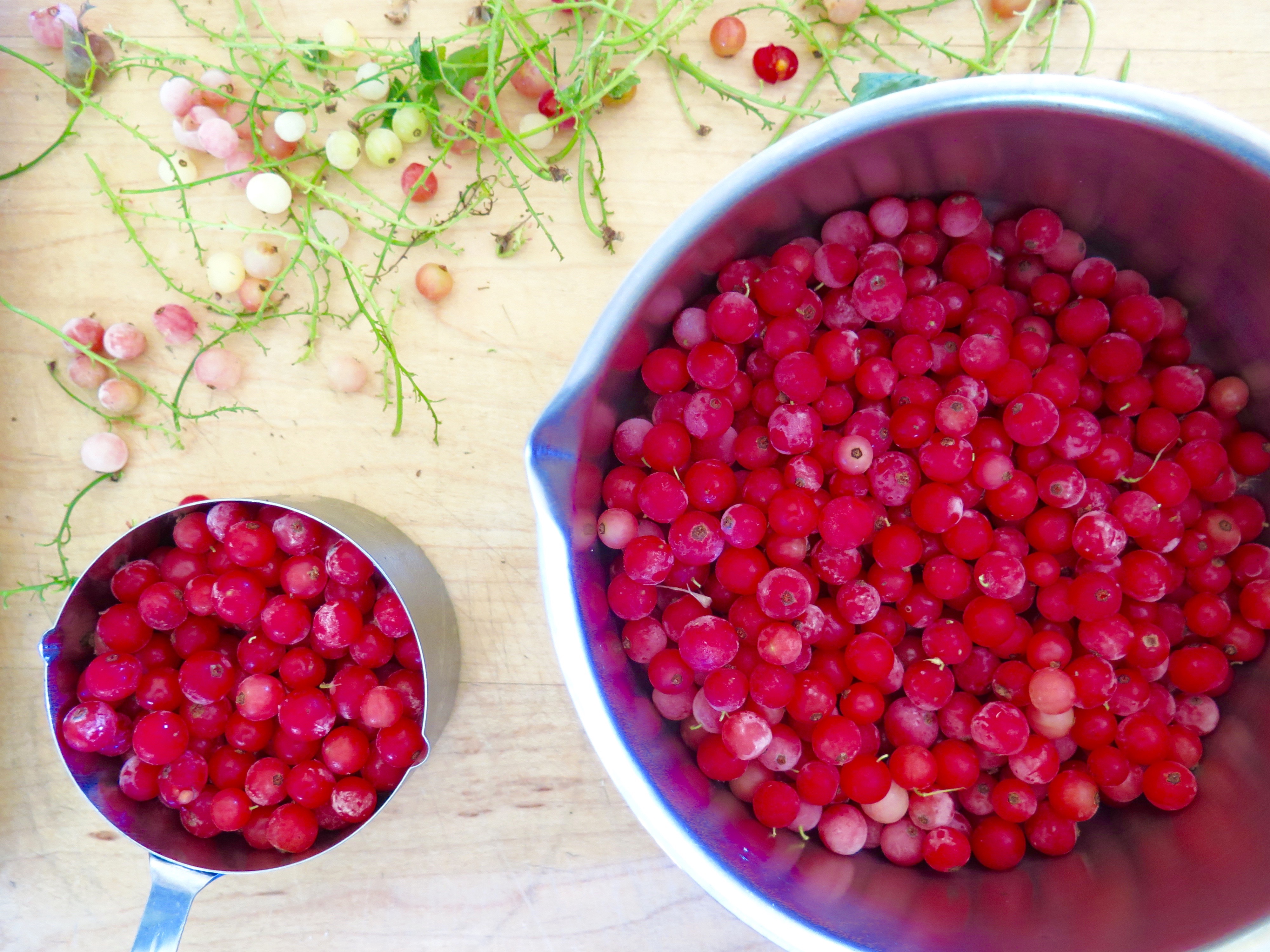 Bowl of red currants | Jessie Sheehan Bakes