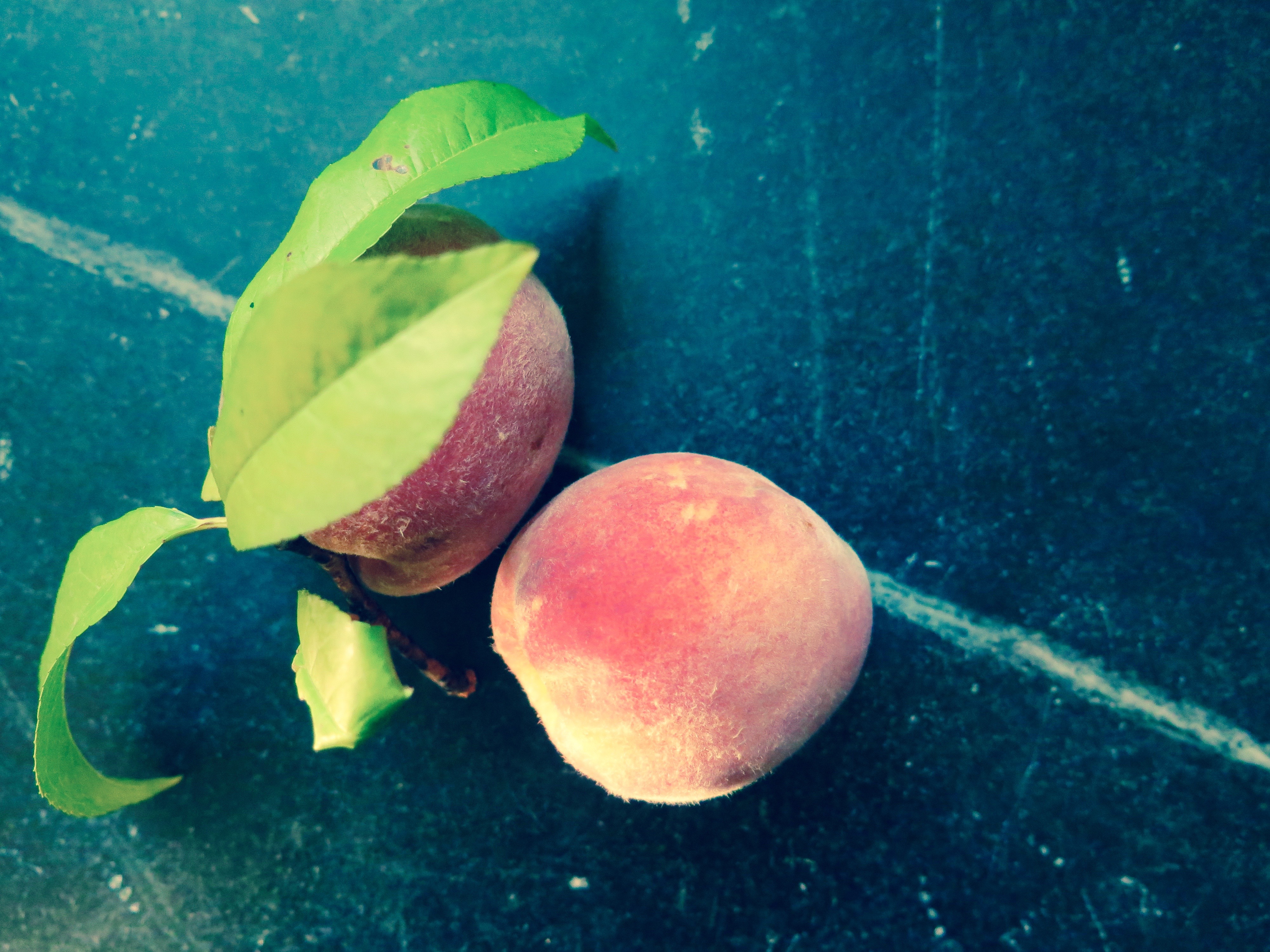 Roasted Peach Ice Cream | Jessie Sheehan Bakes