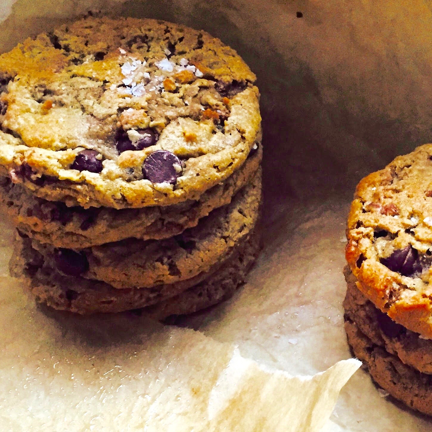 Jumbo Chewy Chocolate Chip Cookies | Jessie Sheehan Bakes