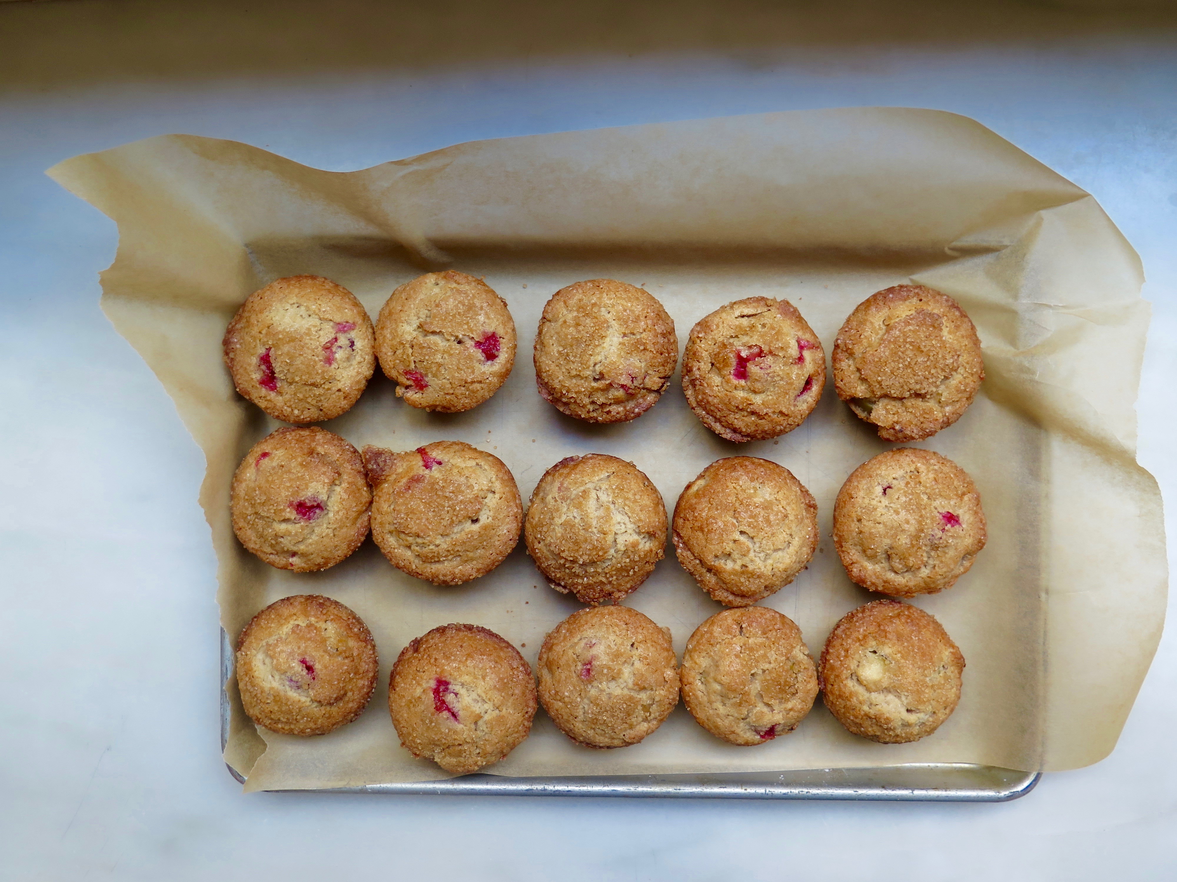 Apple Cranberry Muffins | Jessie Sheehan Bakes