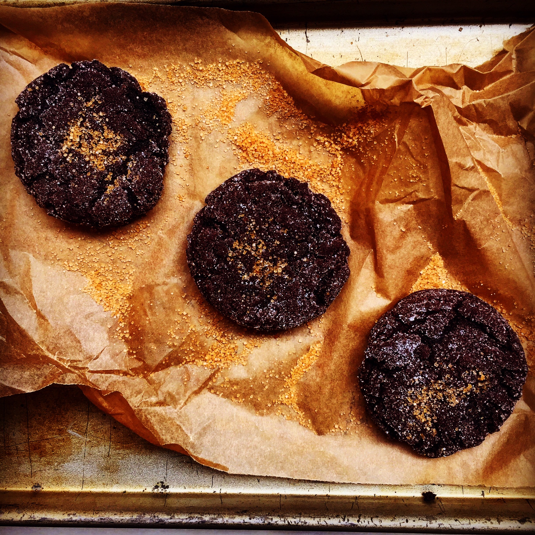 chocolate sugar cookies (jumbo)