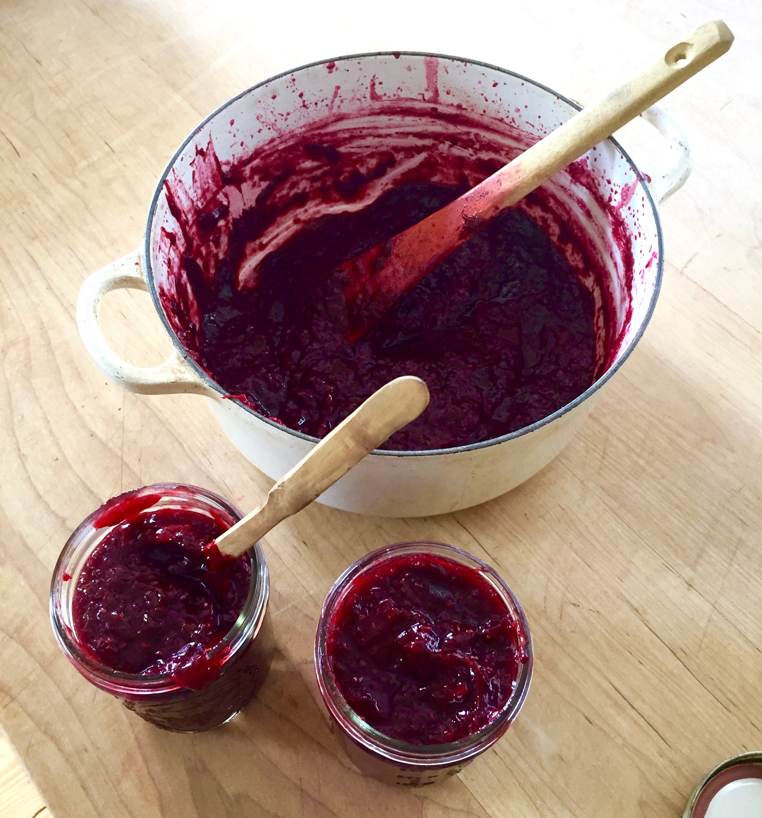 Rhubarb Berry Compote | Jessie Sheehan Bakes