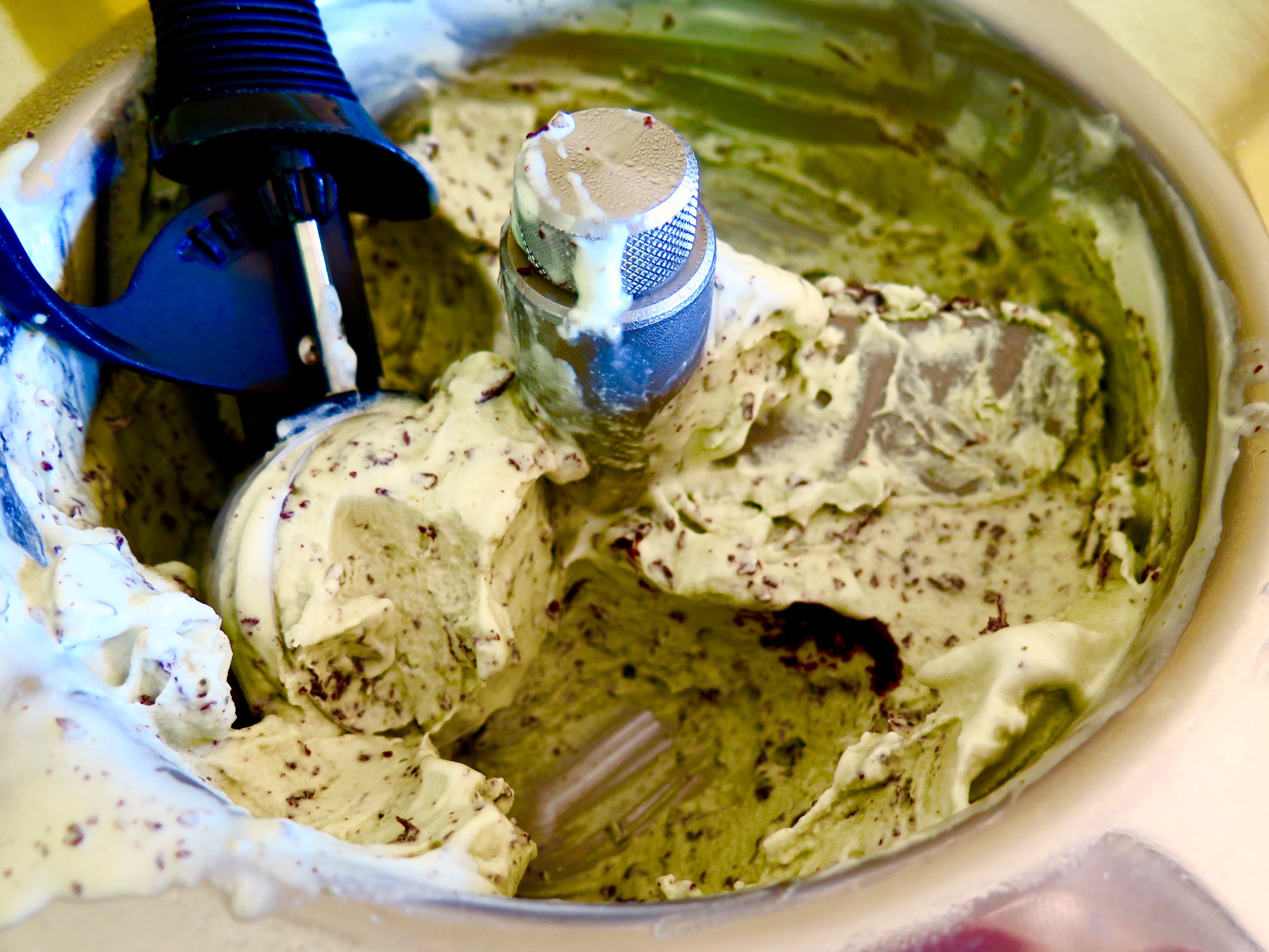 Mint Chocolate Chip Ice Cream | Jessie Sheehan Bakes