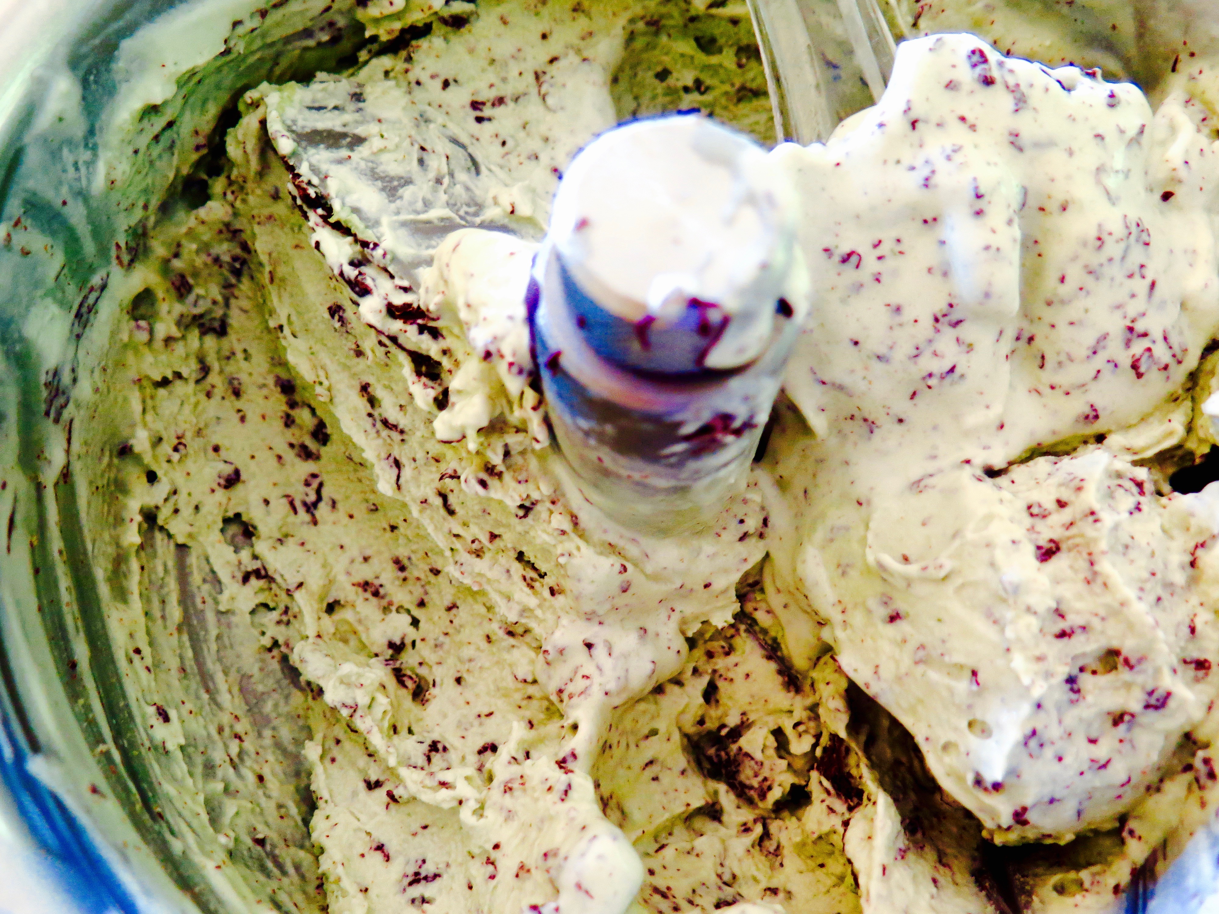 Mint Chocolate Chip Ice Cream | Jessie Sheehan Bakes