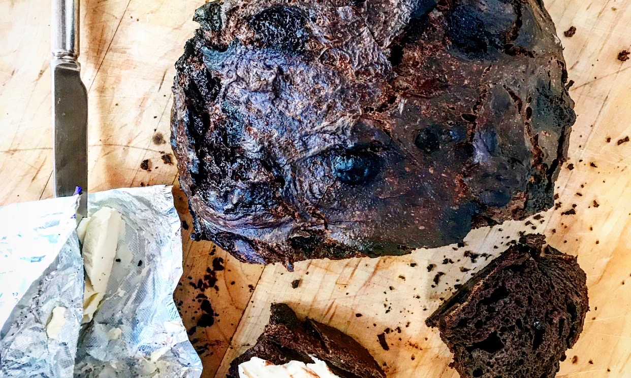 Yeasted No-Knead Chocolate Bread | Jessie Sheehan Bakes